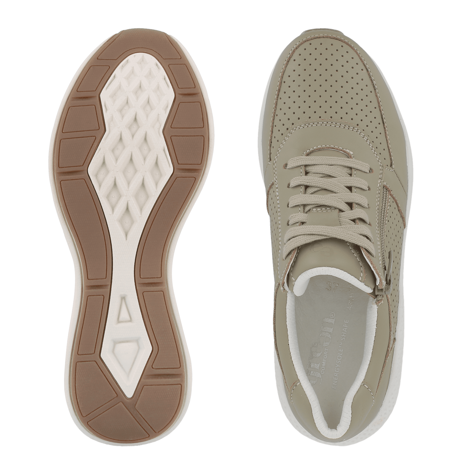 DOLPHIN DIANA - SAGE